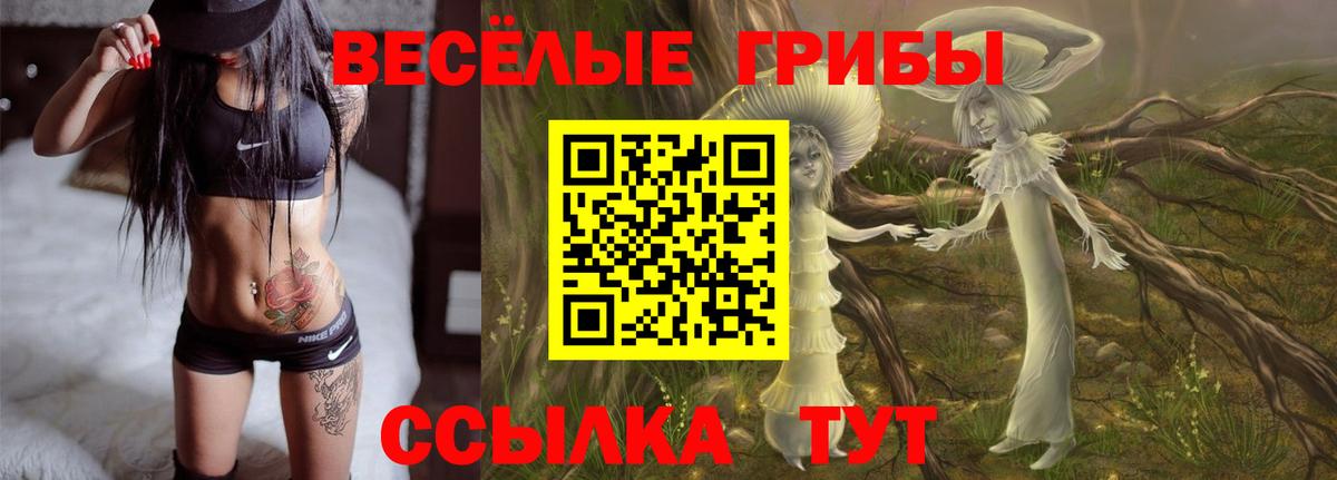 Псилоцибиновые грибы ЛСД Санкт-Петербург
