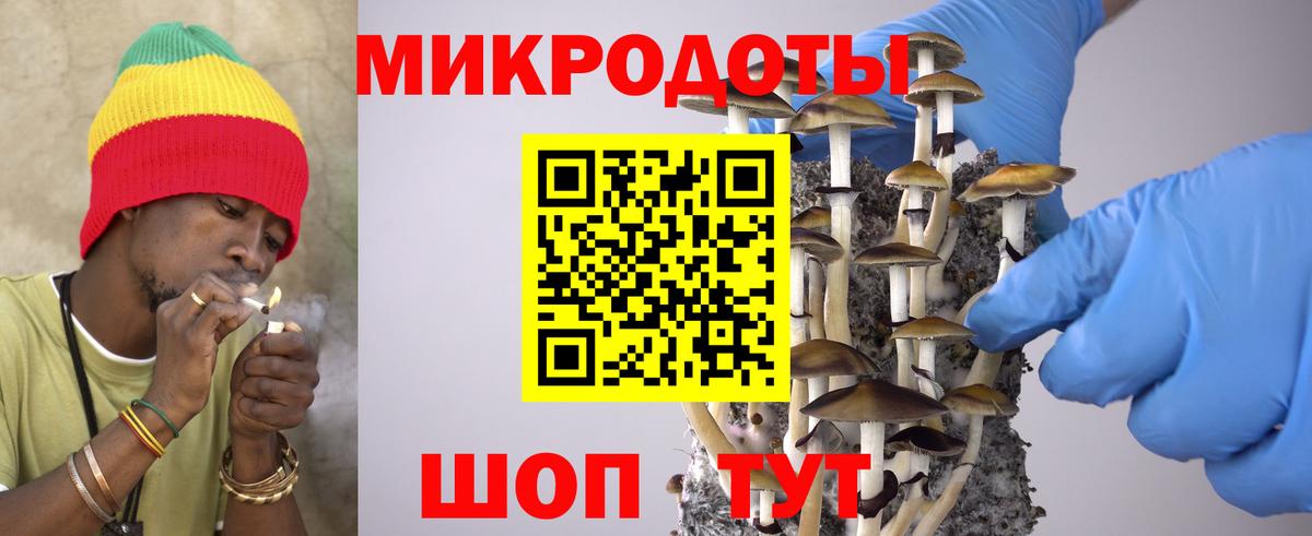 Галлюциногенные грибы Psilocybe  Псилоцибиновые грибы Cubensis  Вход с VPN  Санкт-Петербург 